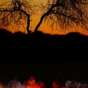 temponellavita@vitaneltempo.014