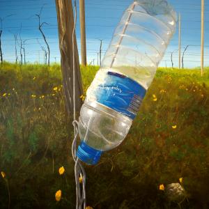 Paesaggio con bottiglia di plastica Paesaggio con bottiglia di plastica