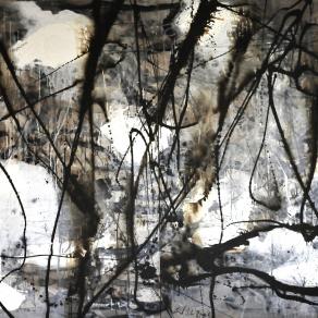 serie " My private area of the protected landscape "