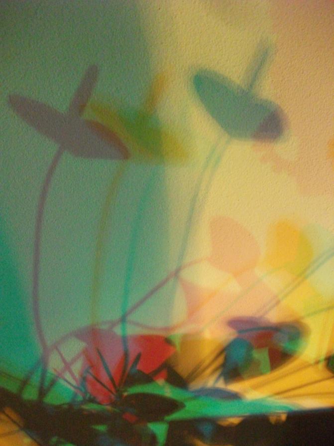 I colori della biodiversità -2015