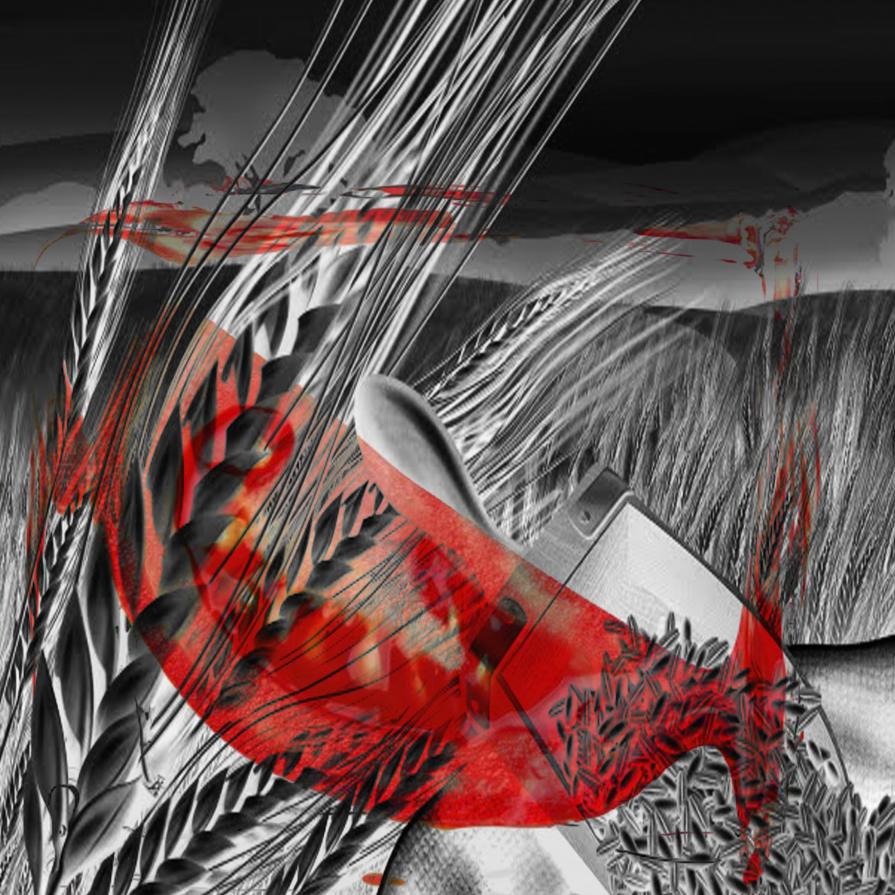 . . . LE MIE ALLERGIE !!! . . . 