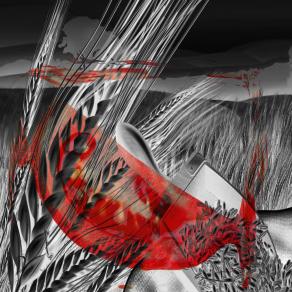 . . . LE MIE ALLERGIE !!! . . . 