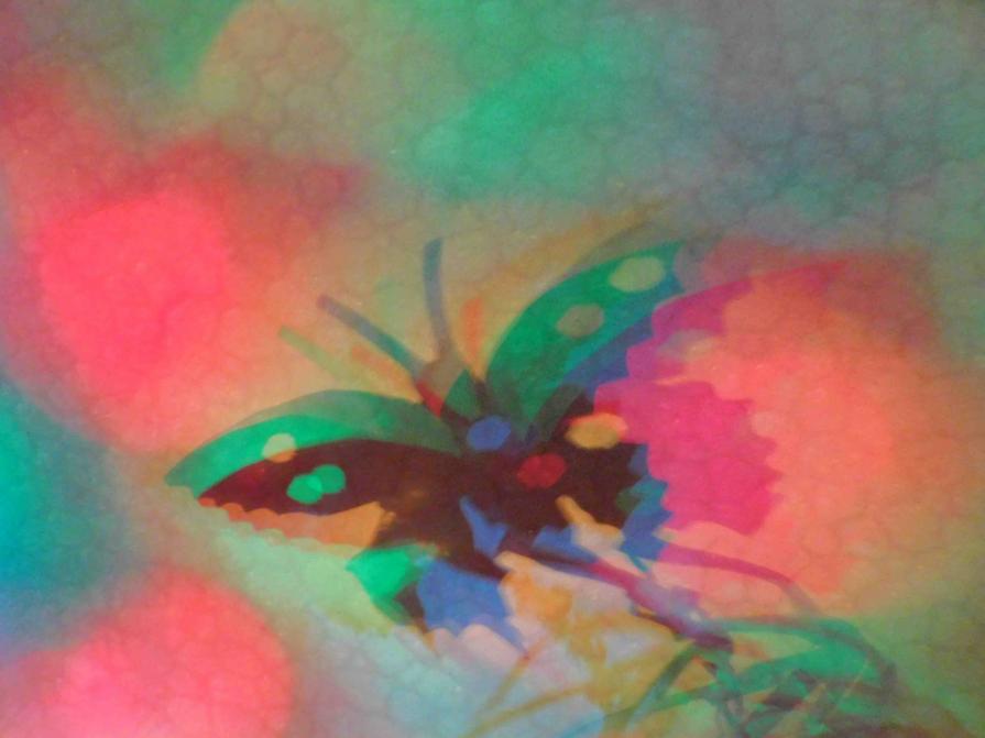 I COLORI DELLA BIODIVERSITÀ