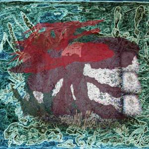 in colour how one can live - 1 in colour how one can live - 1