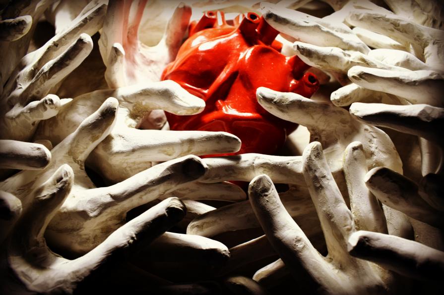 DOVE NASCONO LE EMOZIONI