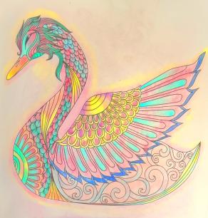 "Il sussurro del cigno"...!!!