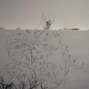 The Distance Itself The Distance Itself