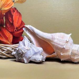 TRA REALISMO E IPERREALISMO al CLUB LA MERIDIANA DI MODENA TRA REALISMO E IPERREALISMO al CLUB LA MERIDIANA DI MODENA