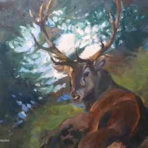 ANIMALS ART al Club La Meridiana di Modena