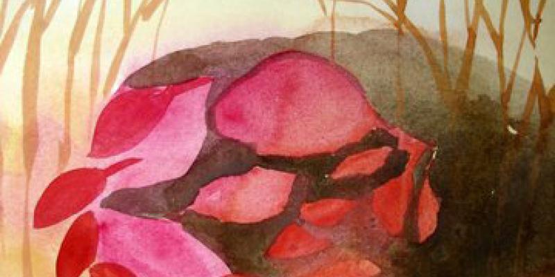 Vesna Cadez, Trasparenze