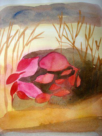 Vesna Cadez, Trasparenze