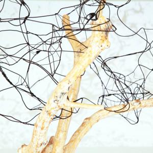 mondoscarabocchio mondoscarabocchio