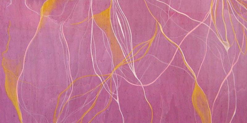 Geografie umane Geografie umane