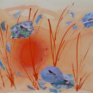 “..ED E' ESTATE!” la Natura e i Colori della Luce “..ED E' ESTATE!” la Natura e i Colori della Luce