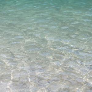 Donauwellen- onde del Danubio