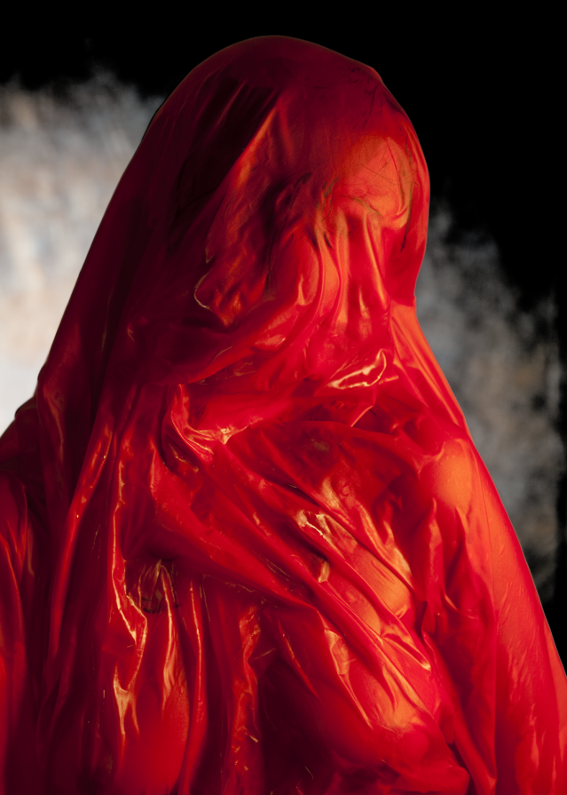 Passion in Red No. 2 Passion in Red No. 2