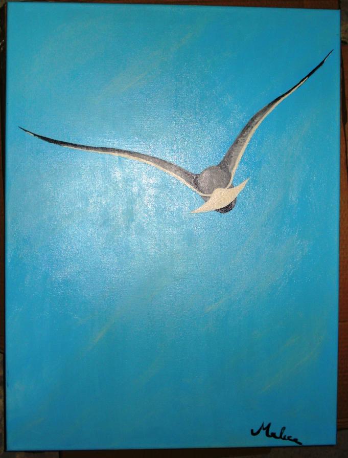 Mauro Alice - Gabbiano Mauro Alice - Gabbiano