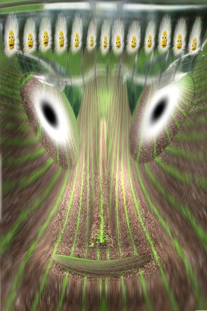 hippy-pippi calze lunghe.