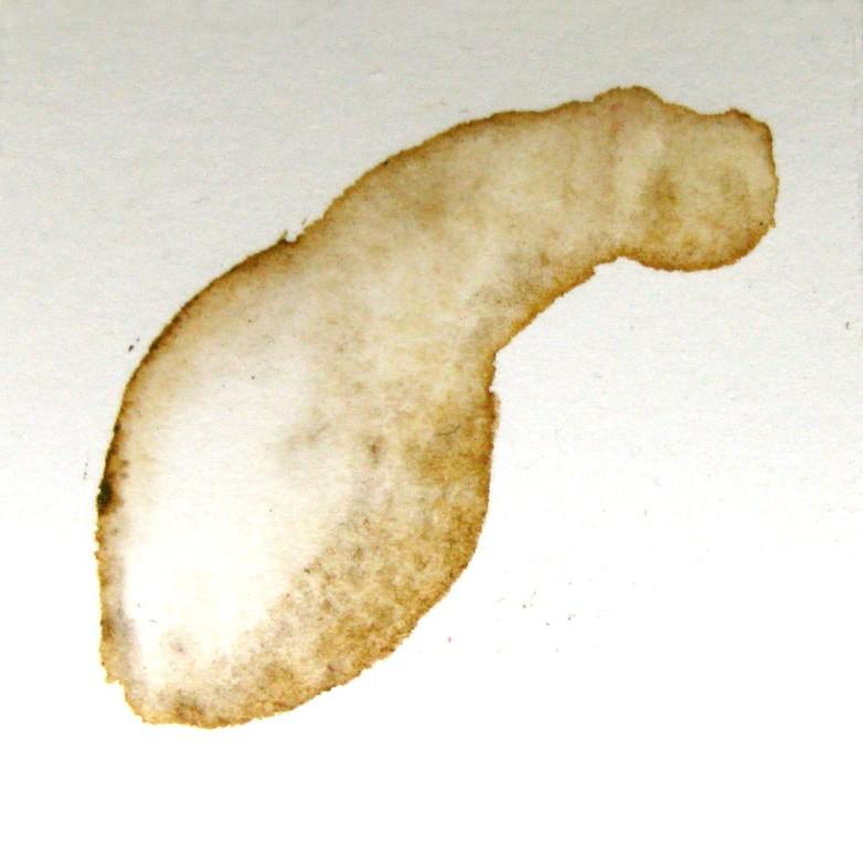 Levitas Originae particolare