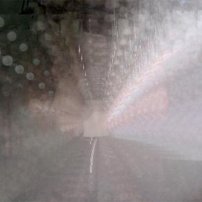 Chickens in the way (Macello con polli 61)