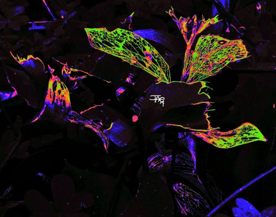 Il nulla-il tempo-il nulla