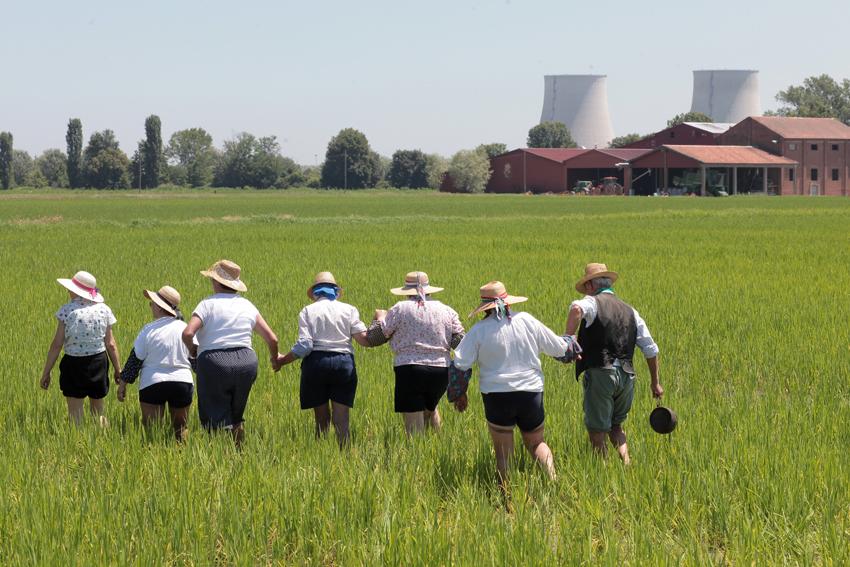 Mondine di Claudio Argentiero Mondine di Claudio Argentiero