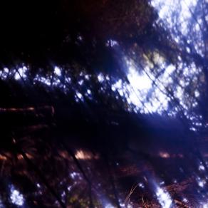 This is the Secret #11