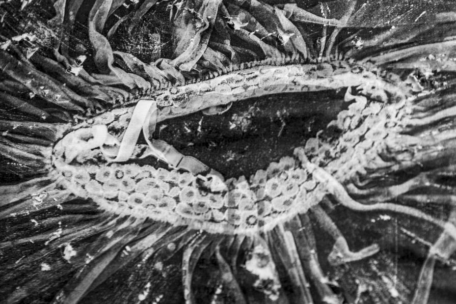 Nascita-Ri-Nascita_1