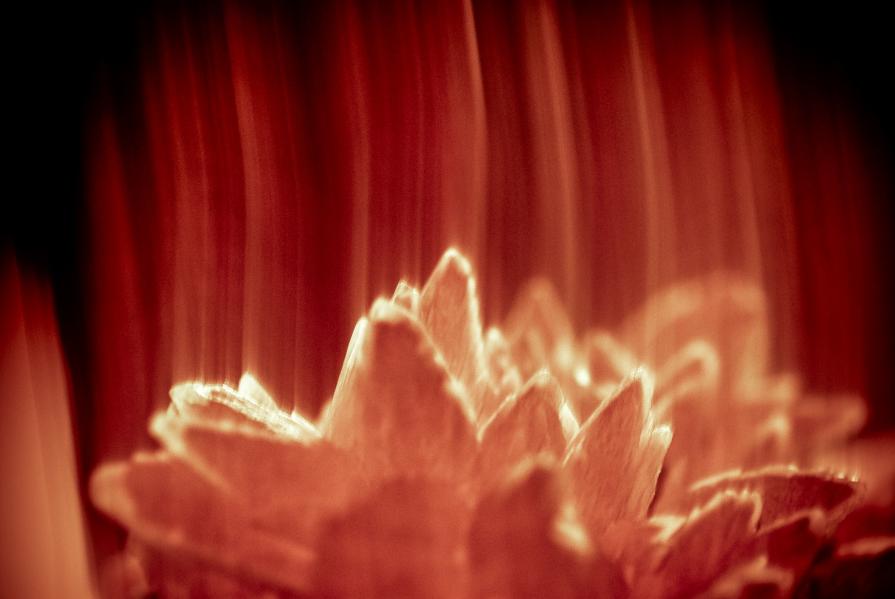 Series "The desires of...1"