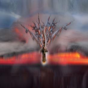 le guerre nobilitano elevando le anime degli uomini.teniamo vivi gli alberi della morte.