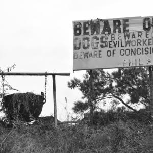 Dogs & Concision Dogs & Concision