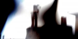 Shunsaku Hayashi - Parallel Botanies