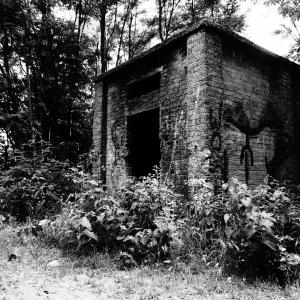 Mangiato dalla natura