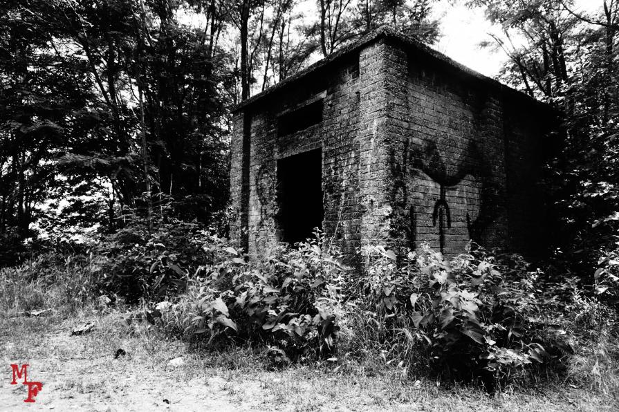 Mangiato dalla natura