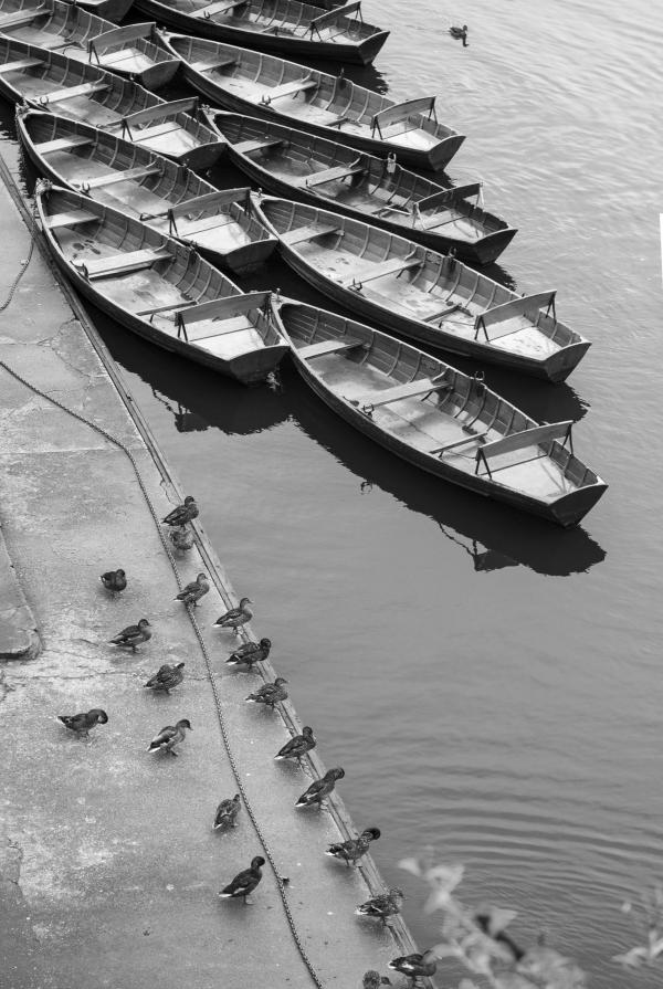 The Waiting The Waiting