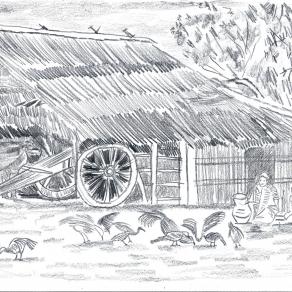 Cicale, sorelle, nel sole con voi mi nascondo nel folto dei pioppi e aspetto le stelle !!!