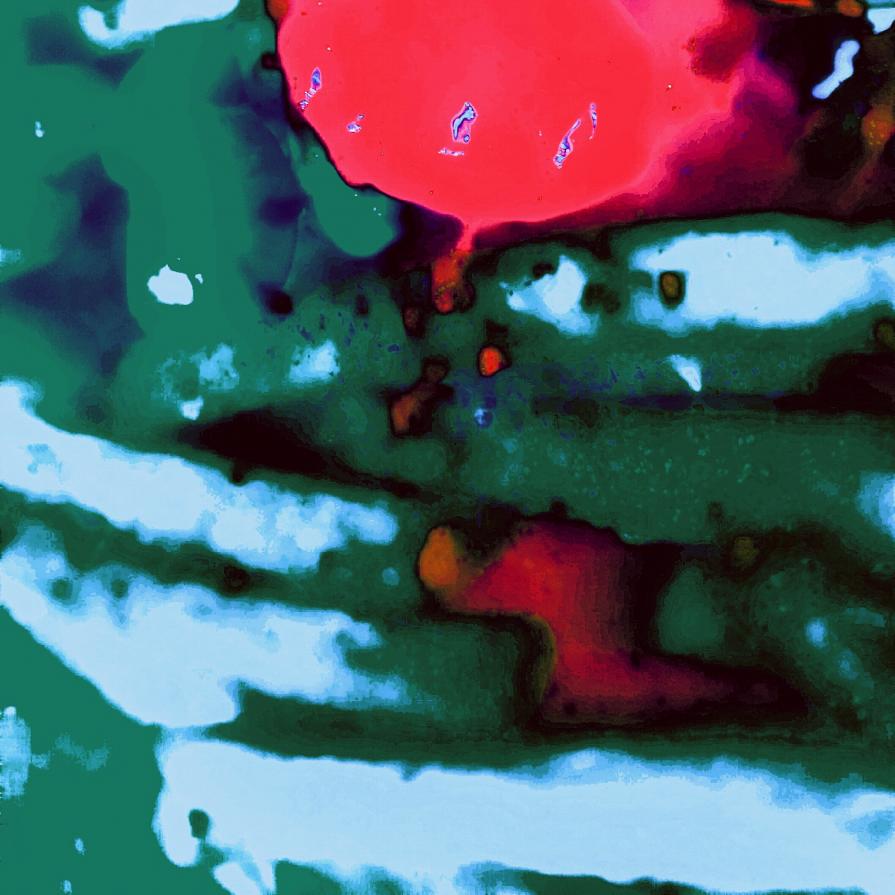 Magma nella Foresta Innevata