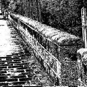 VIALE BIANCO E NERO.