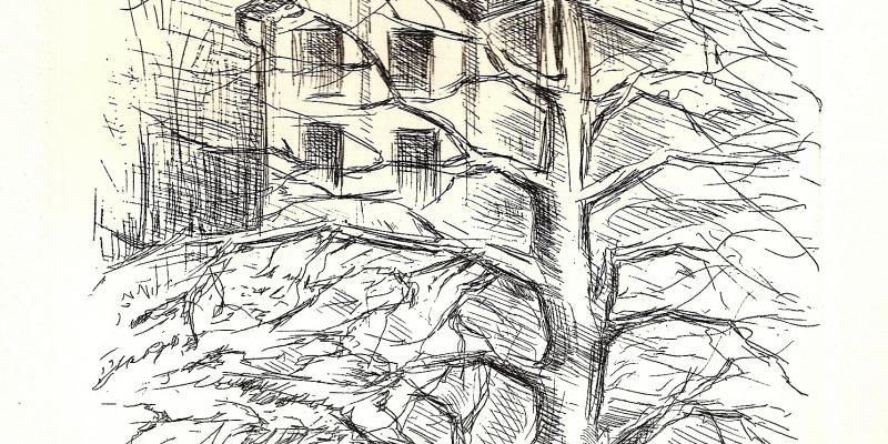 L'incisione al femminile L'incisione al femminile