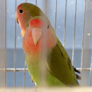 VINCITORI CONCORSO CREATIVI UNDER 30