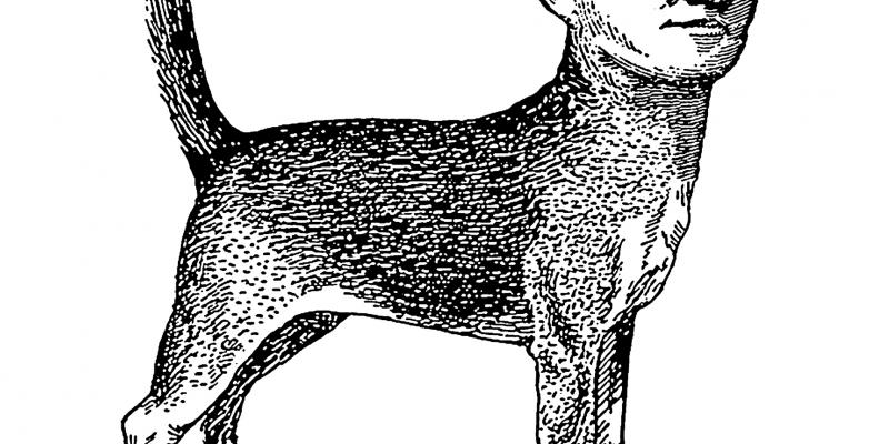 UNDERDOGSTUDIO _ OPENING! UNDERDOGSTUDIO _ OPENING!