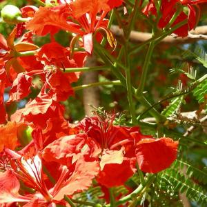 Egypt. Luxor and Marsa Alam