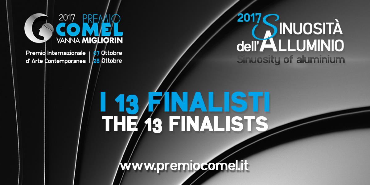 Premio COMEL Arte Contemporanea -  I tredici artisti europei selezionati per la mostra “Sinuosità dell’alluminio”