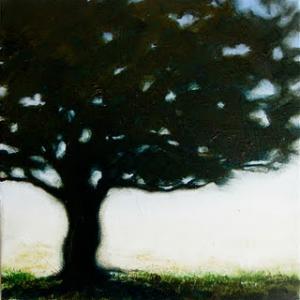 I SAGGI DELLA TERRA I SAGGI DELLA TERRA