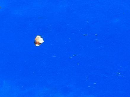 LACDA 2014 "Top 40" Juried Competition Winners Exhibition LACDA 2014 "Top 40" Juried Competition Winners Exhibition