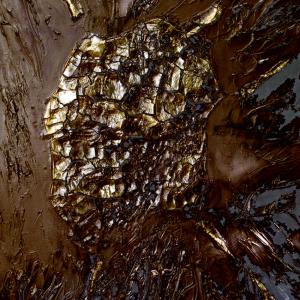 16 - 28 ottobre 2009 ORO E ARGENTO 16 - 28 ottobre 2009 ORO E ARGENTO