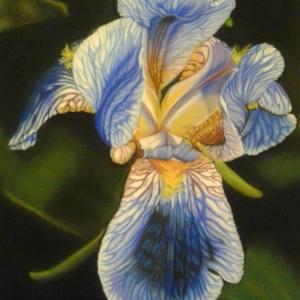 La Creatività al Femminile 2017 La Creatività al Femminile 2017