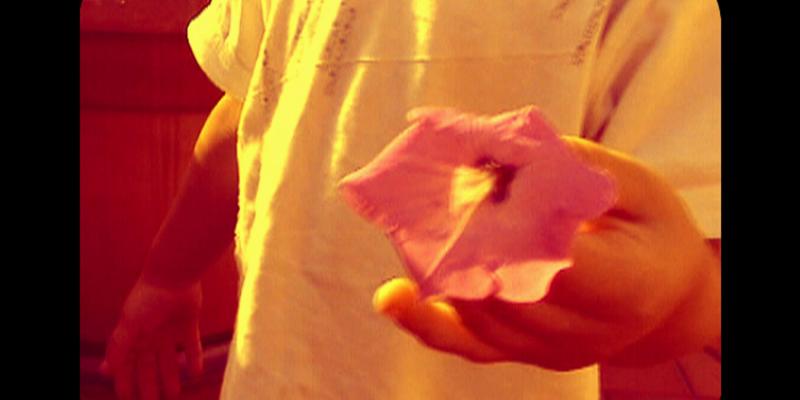 Mestre Film Fest Mestre Film Fest