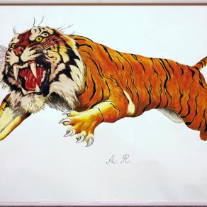 ViaperZanica (Tigre)