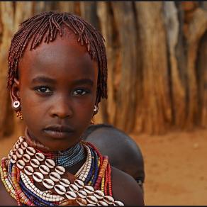 Irresistibile curiosità